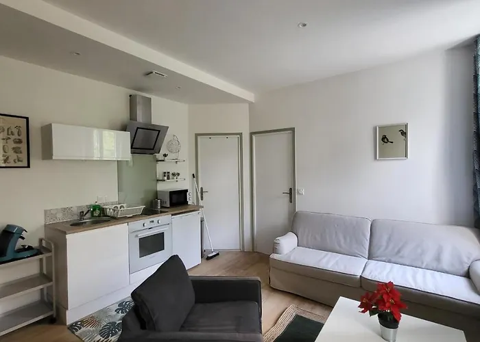 Apartamento 2 Pièces Avec Terrasse Proche Centre - Parking Gratuit à Proximité Lourdes