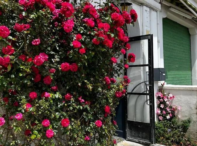 2 Pieces Avec Terrasse Proche Centre - Parking Gratuit A Proximite