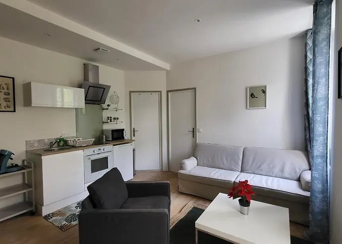 2 Pieces Avec Terrasse Proche Centre - Parking Gratuit A Proximite Lourdes